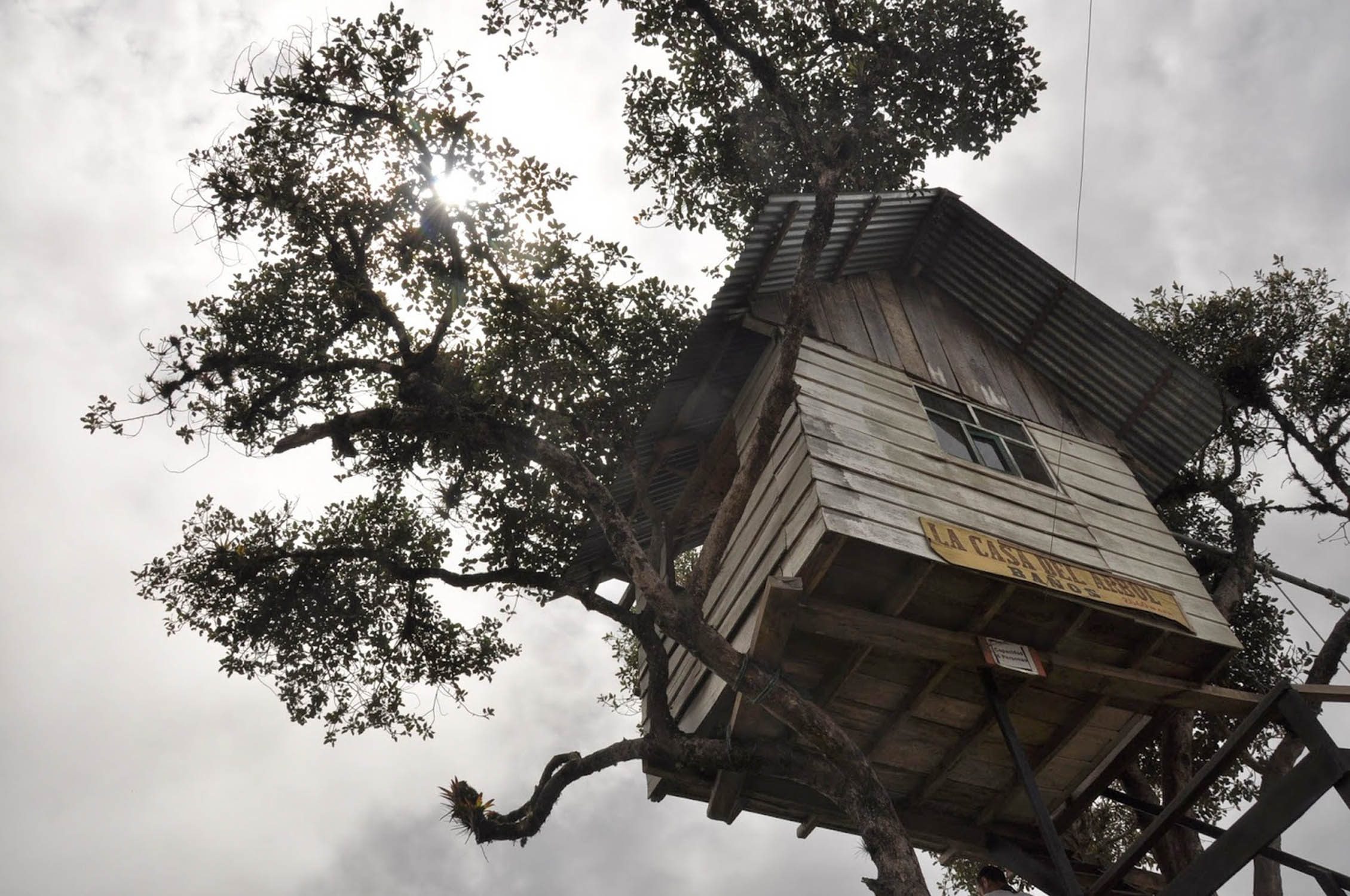 Casa Del Arbol Banos Ecuador