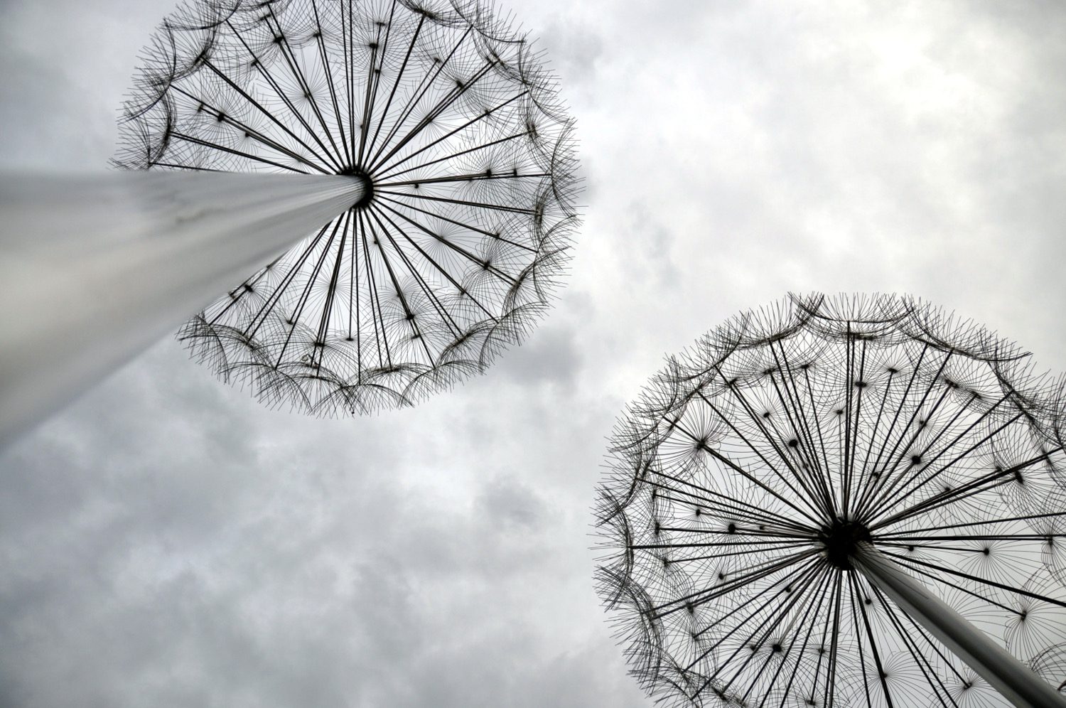 Dandelion statue Turkey