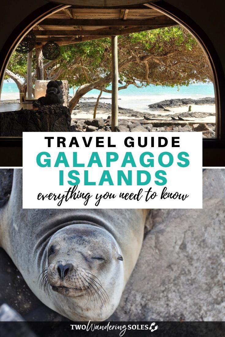 Galapagos Islands Ecuador