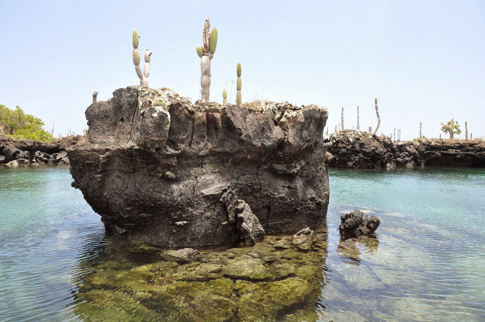 Galapagos Islands Ecuador