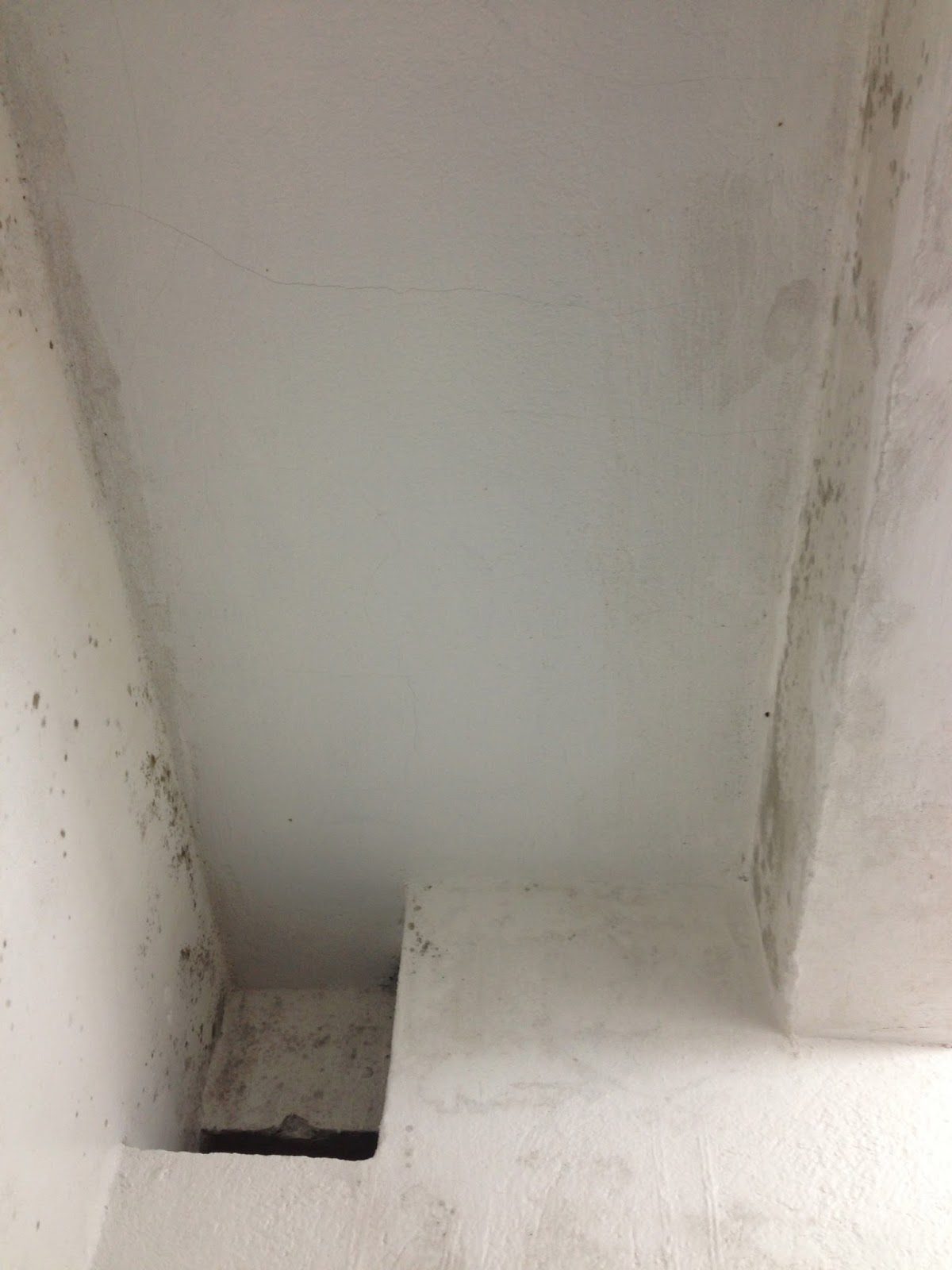 Mold on the ceilings