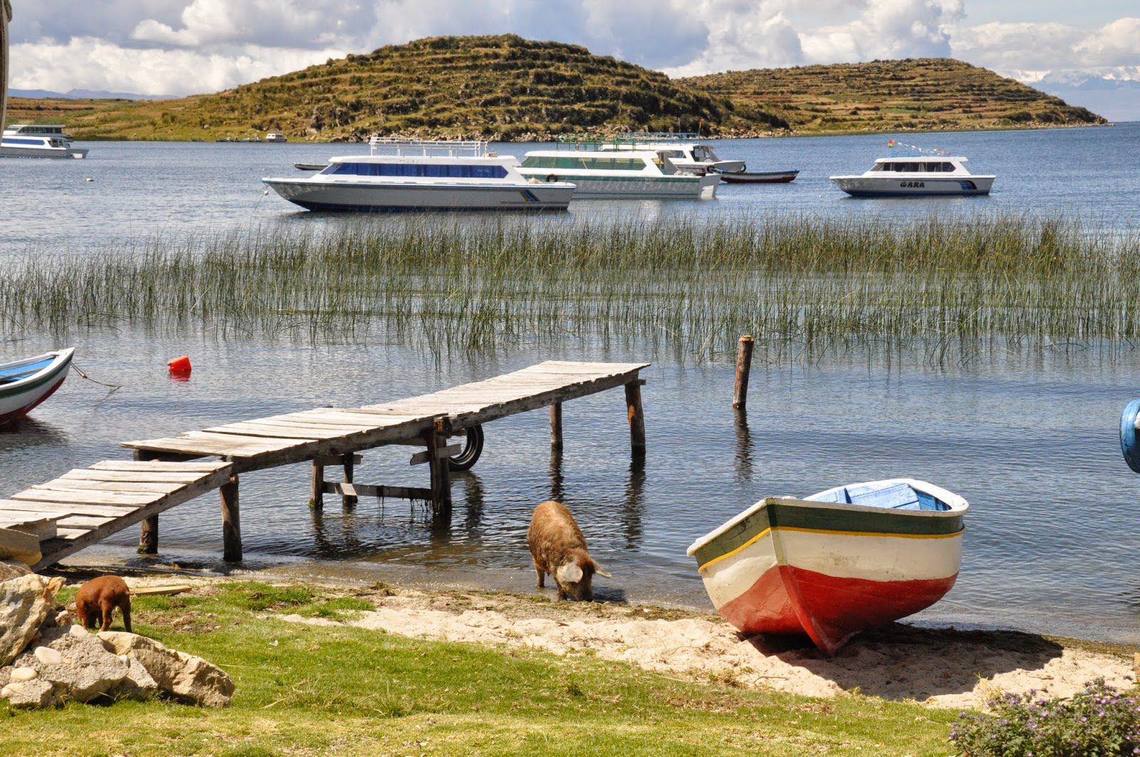 Isla Del Sol Lake Titicaca