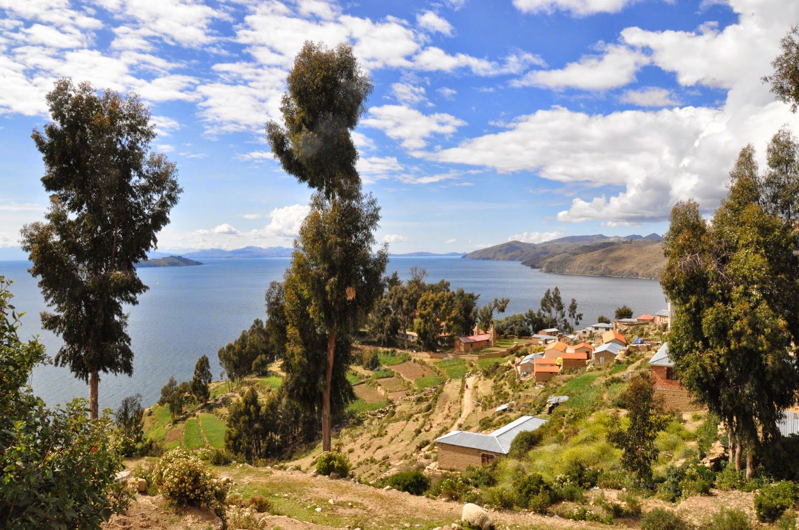 Isla Del Sol Lake Titicaca