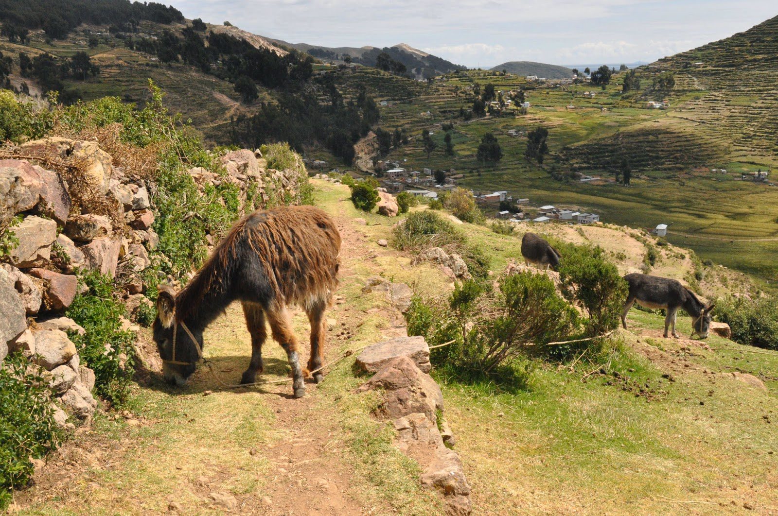 Isla Del Sol Lake Titicaca