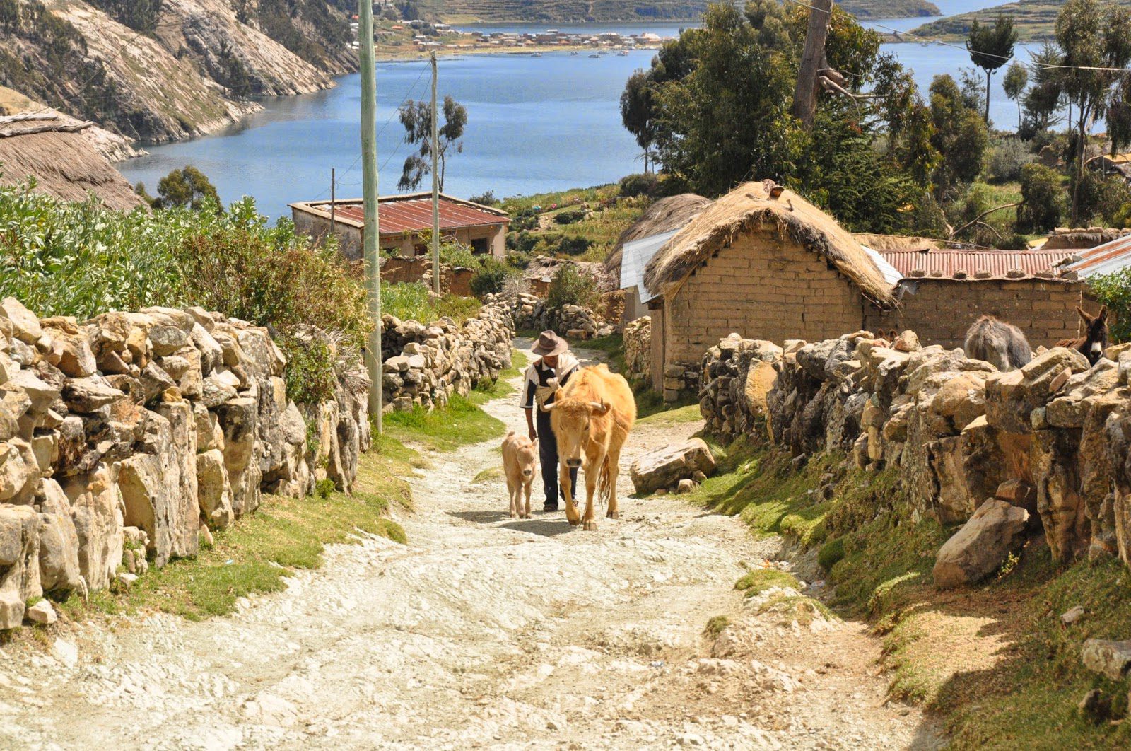 Isla Del Sol Lake Titicaca