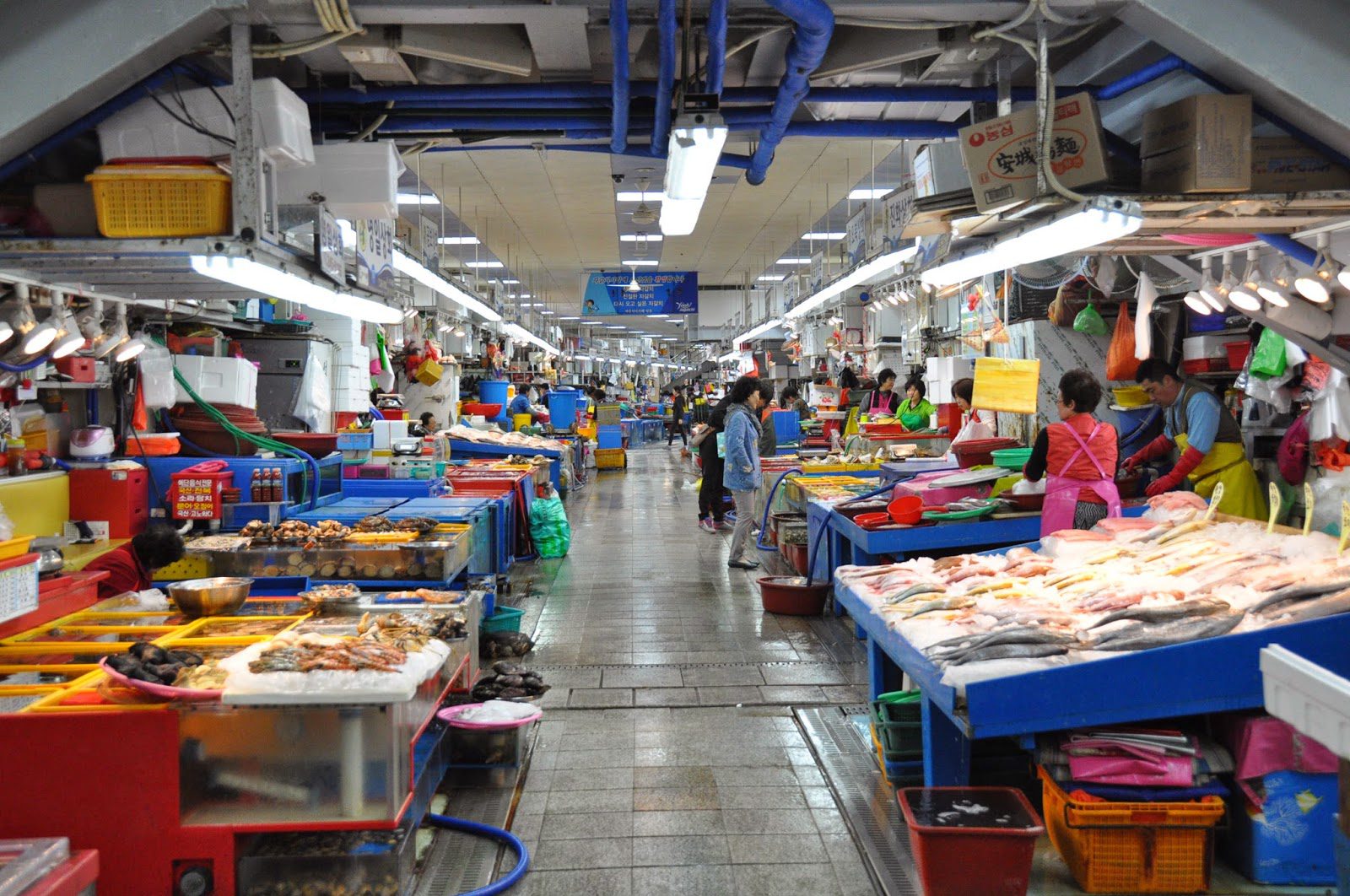 Jagalchi Fish Market