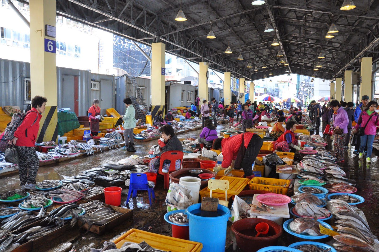 Jagalchi Fish Market