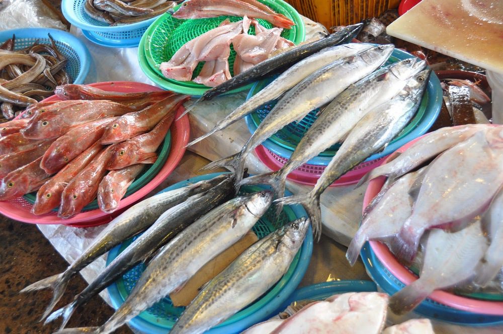 Jakgalchi Fish Market