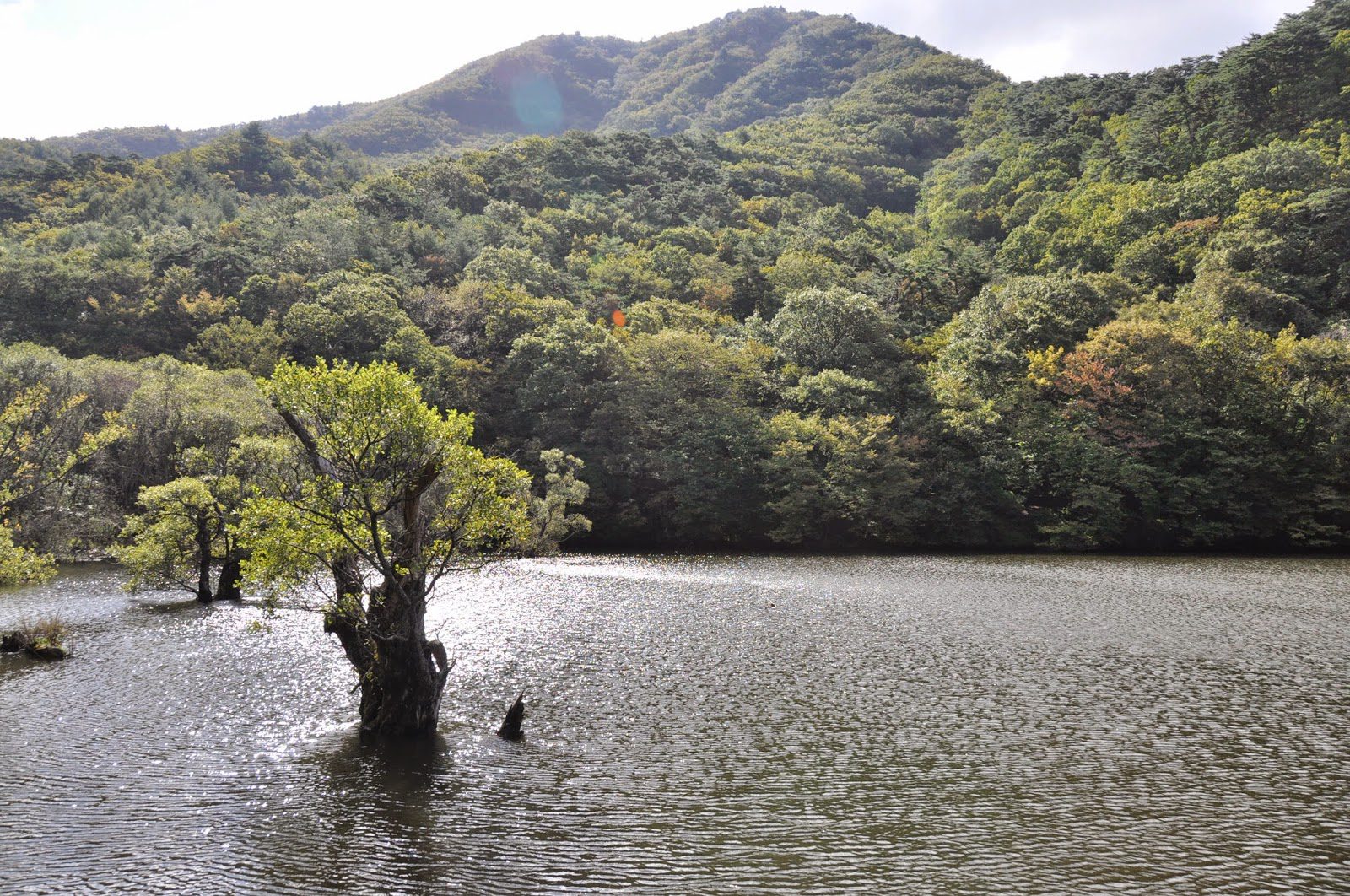 Jusanji pond Juwangsan National Park Camping Korea