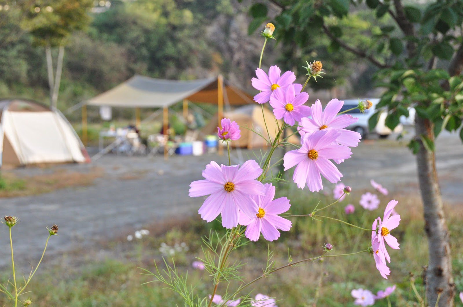 Juwangsan National Park Camping Korea