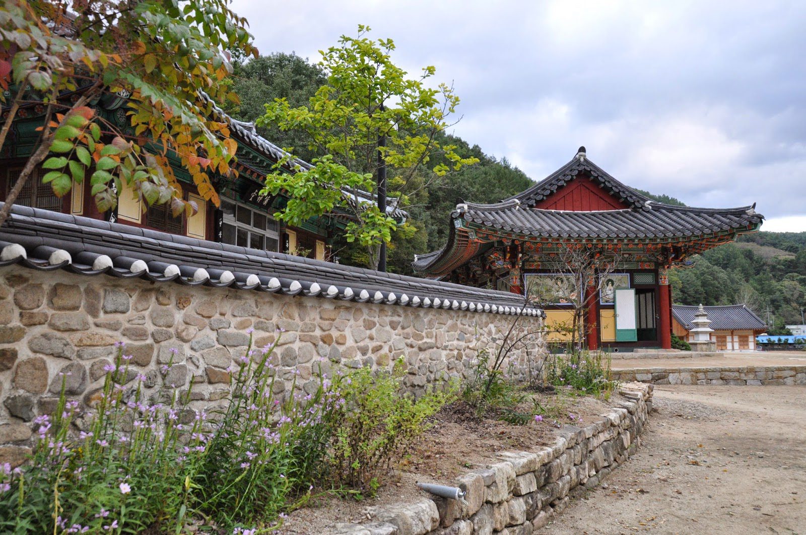 Juwangsan National Park Camping Korea