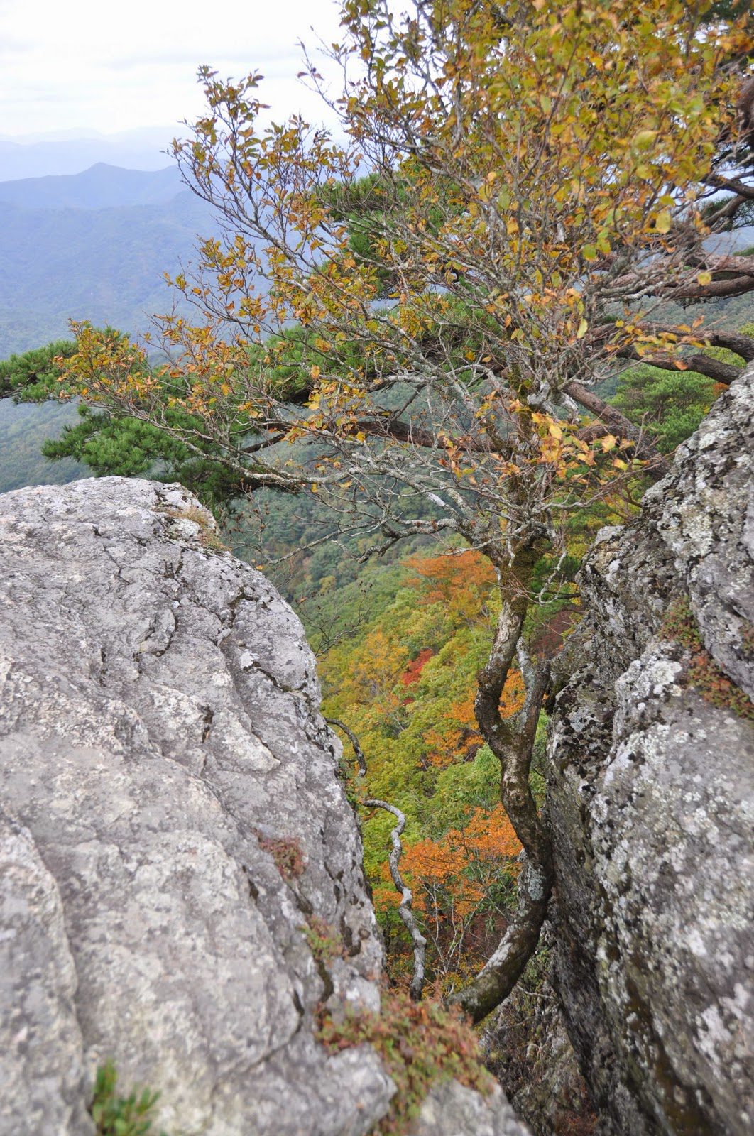 Juwangsan National Park Camping Korea