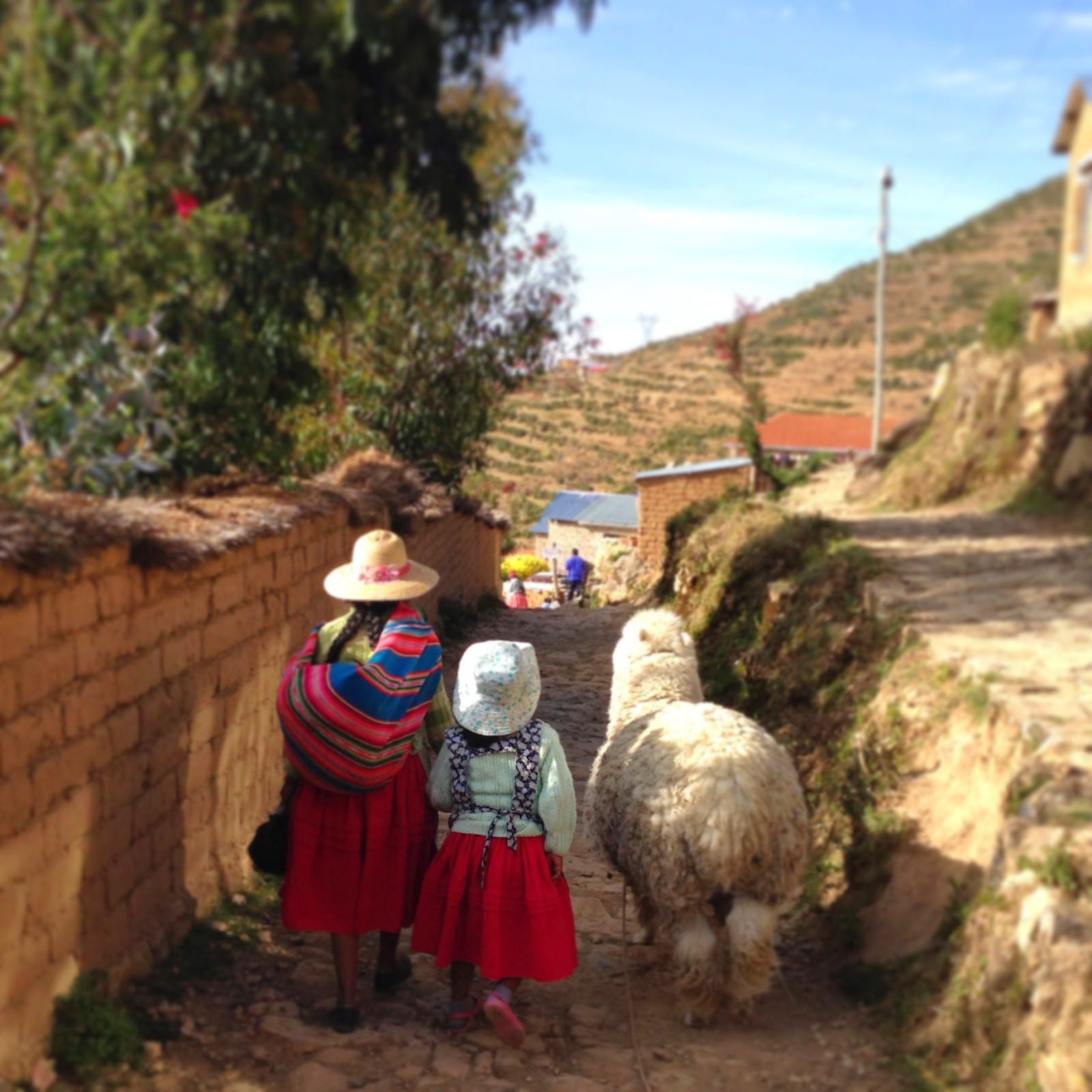Lake Titicaca Local Women and Llama