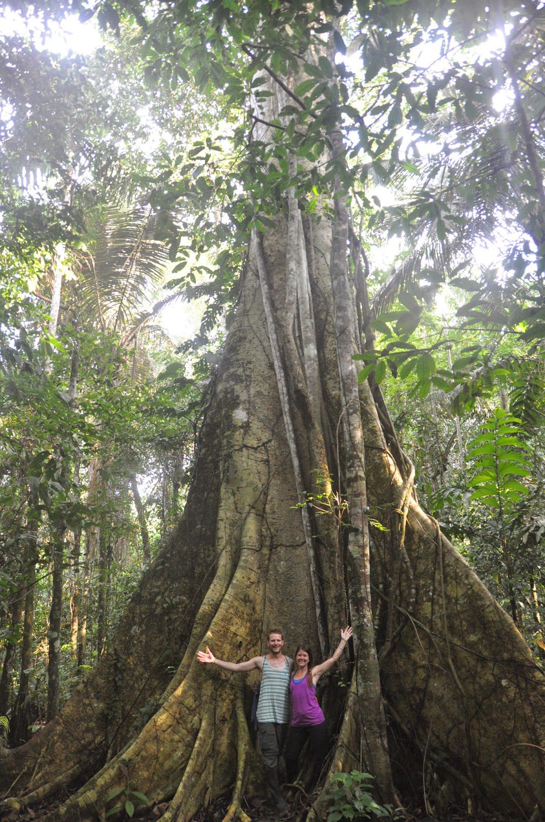 Some of the trees were MASSIVE!