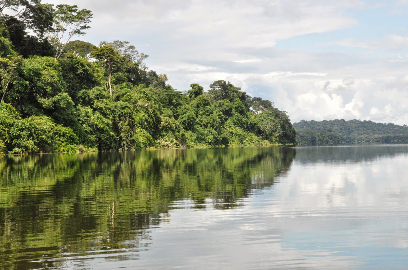 Madidi Jungle Ecolodge Amazon Forest Bolivia