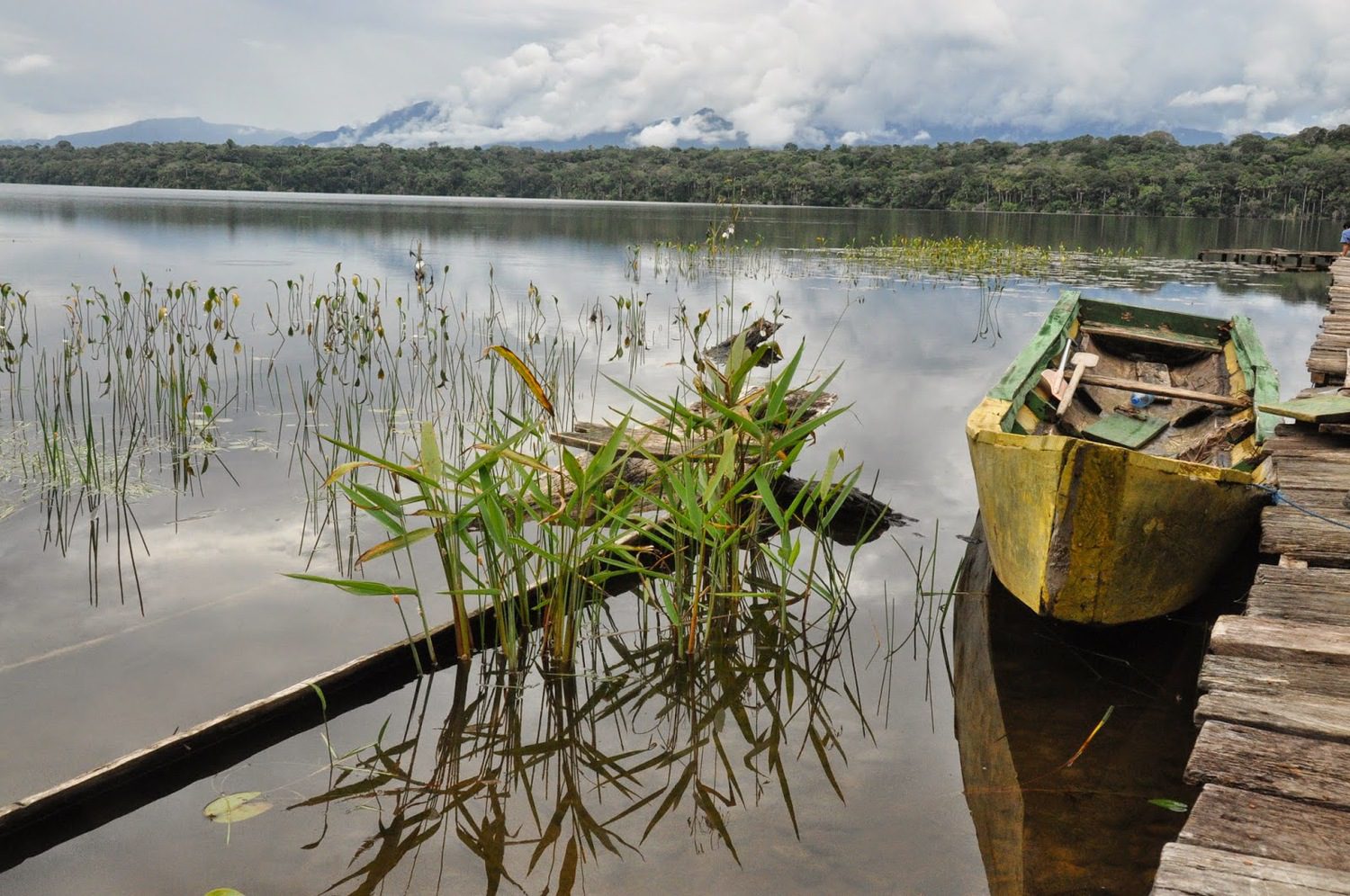 Madidi Jungle Ecolodge Amazon Forest Bolivia