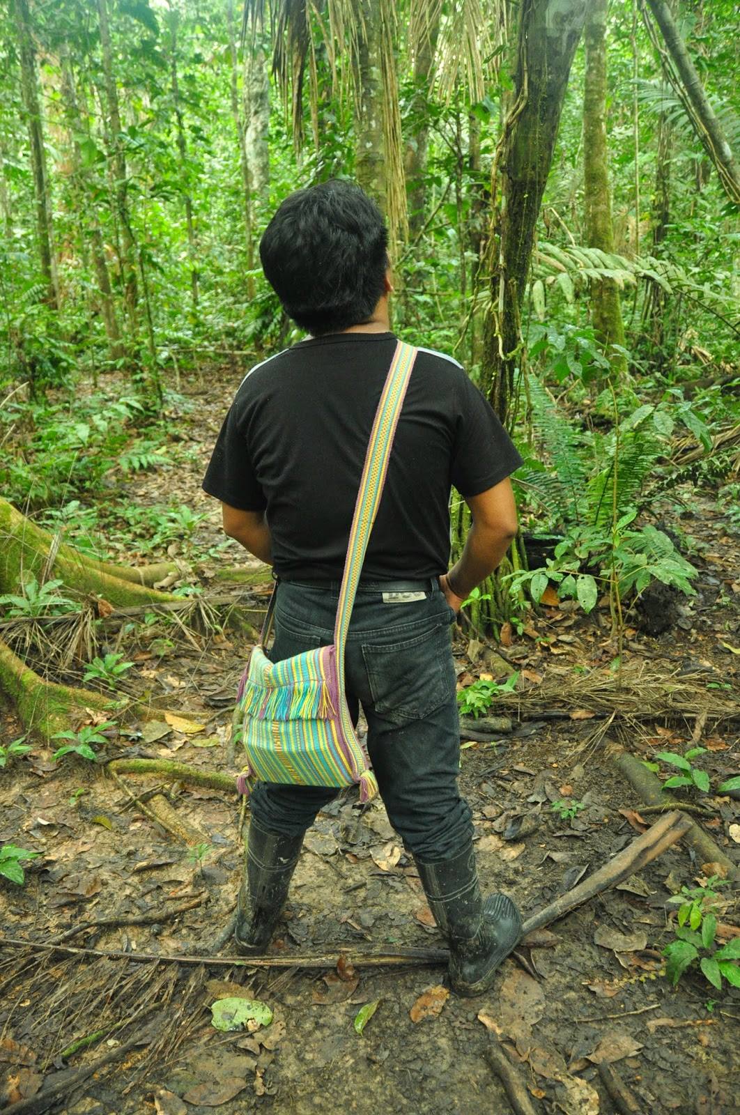 Madidi Jungle Ecolodge Amazon Forest Bolivia