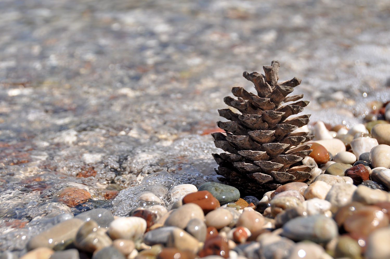 Turkey taught me that I love the combination of pine forests and the ocean. Perfection, in my opinion.