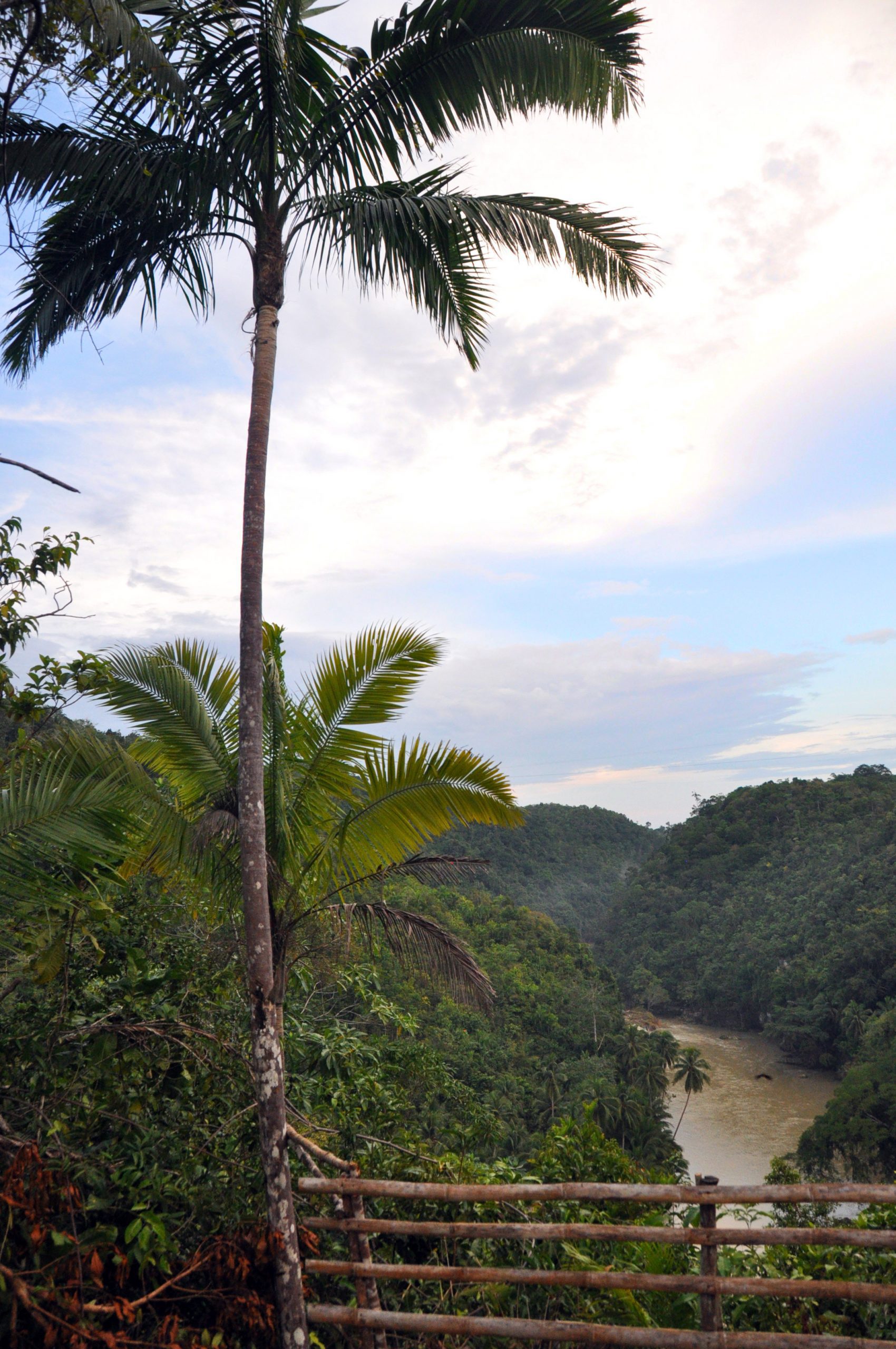 Philippines Bohol Loboc River