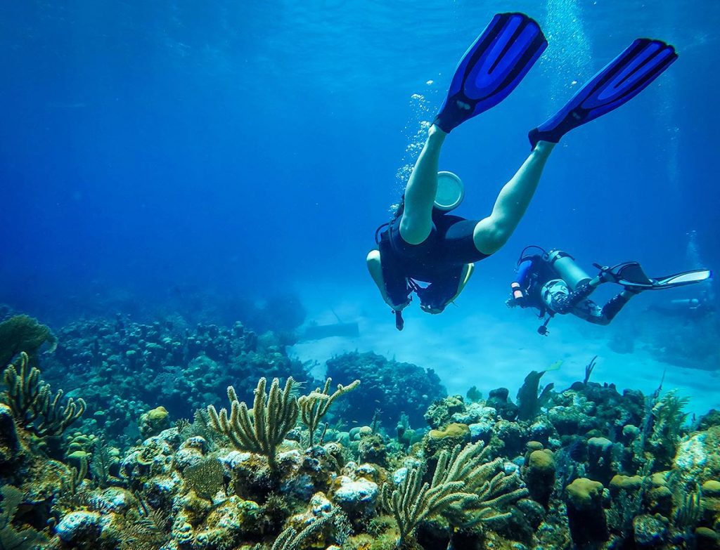 Scuba Diving Roatan, Honduras