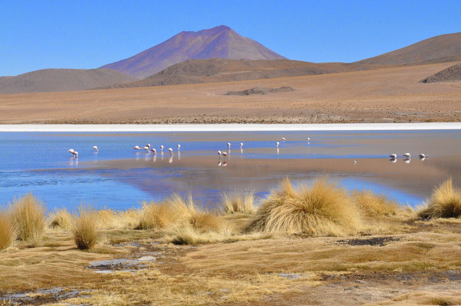 Salar De Uyuni Bolivia Red Planet Blue Lagoon