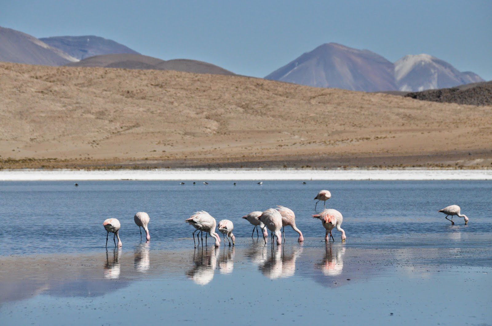 Salar De Uyuni Bolivia Red Planet