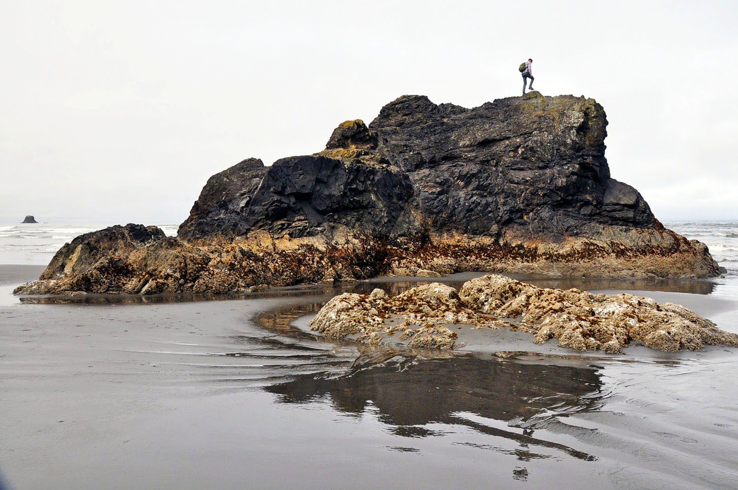 Sea Stack Olympic Peninsula