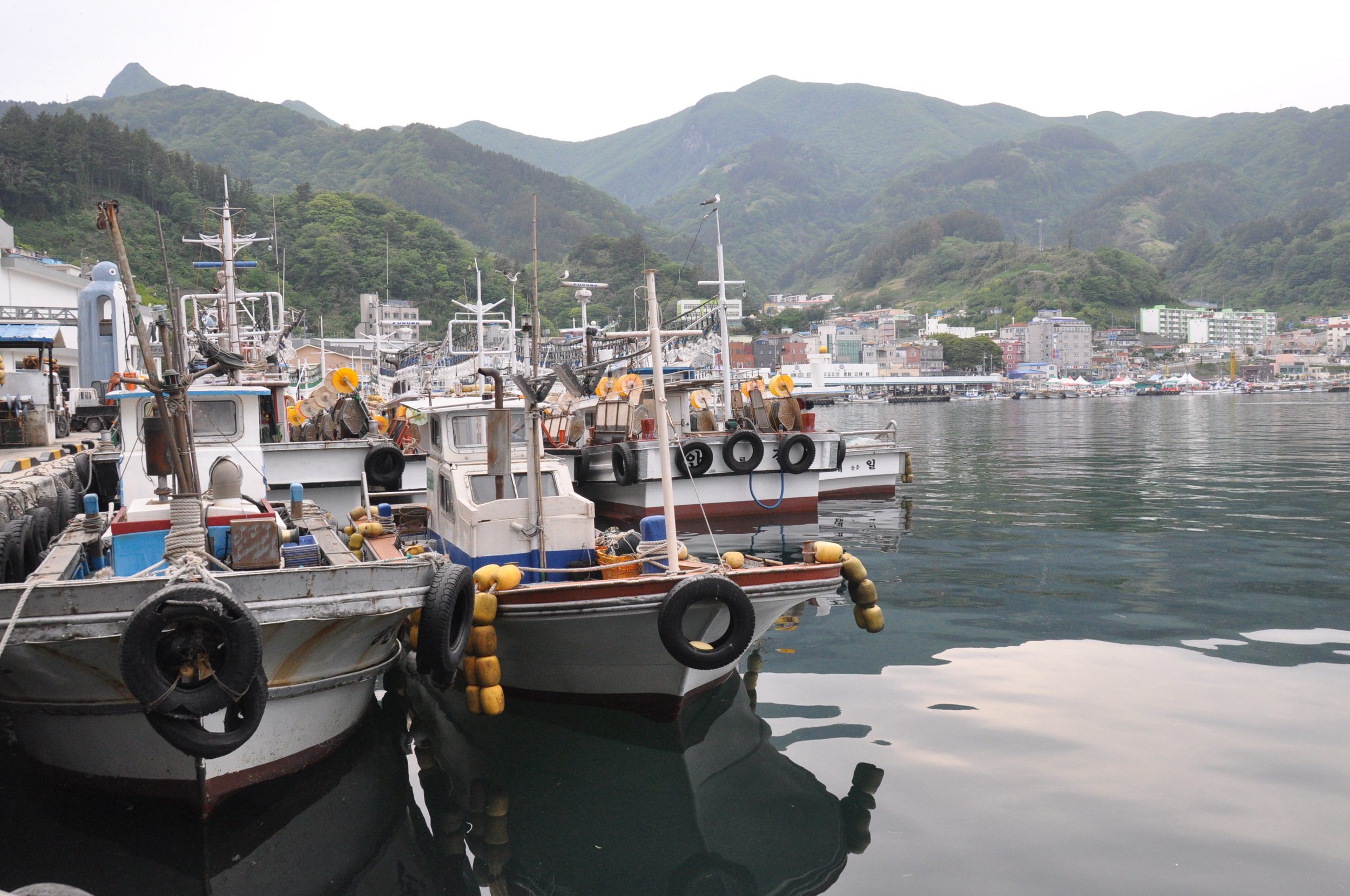 Ulleungdo Harbor Squid Boats