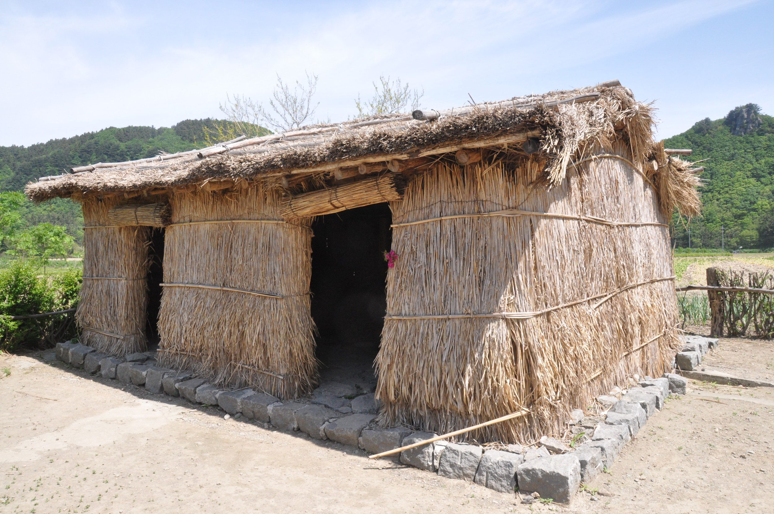 Ulleungdo Island Korea Traditional Straw House