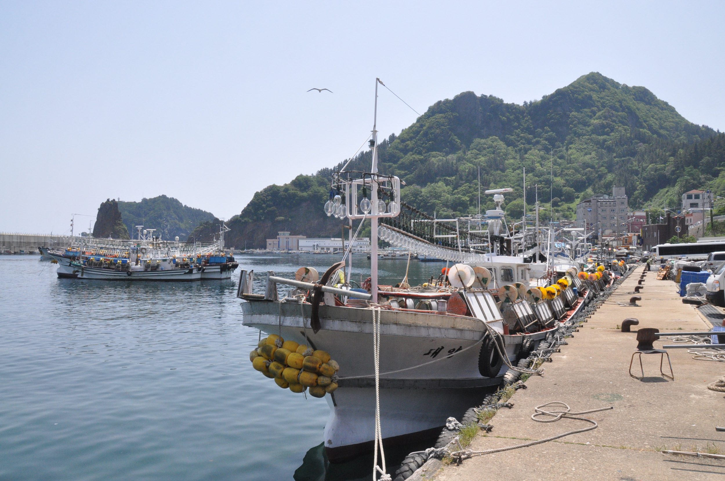Ulleungdo Port Korea