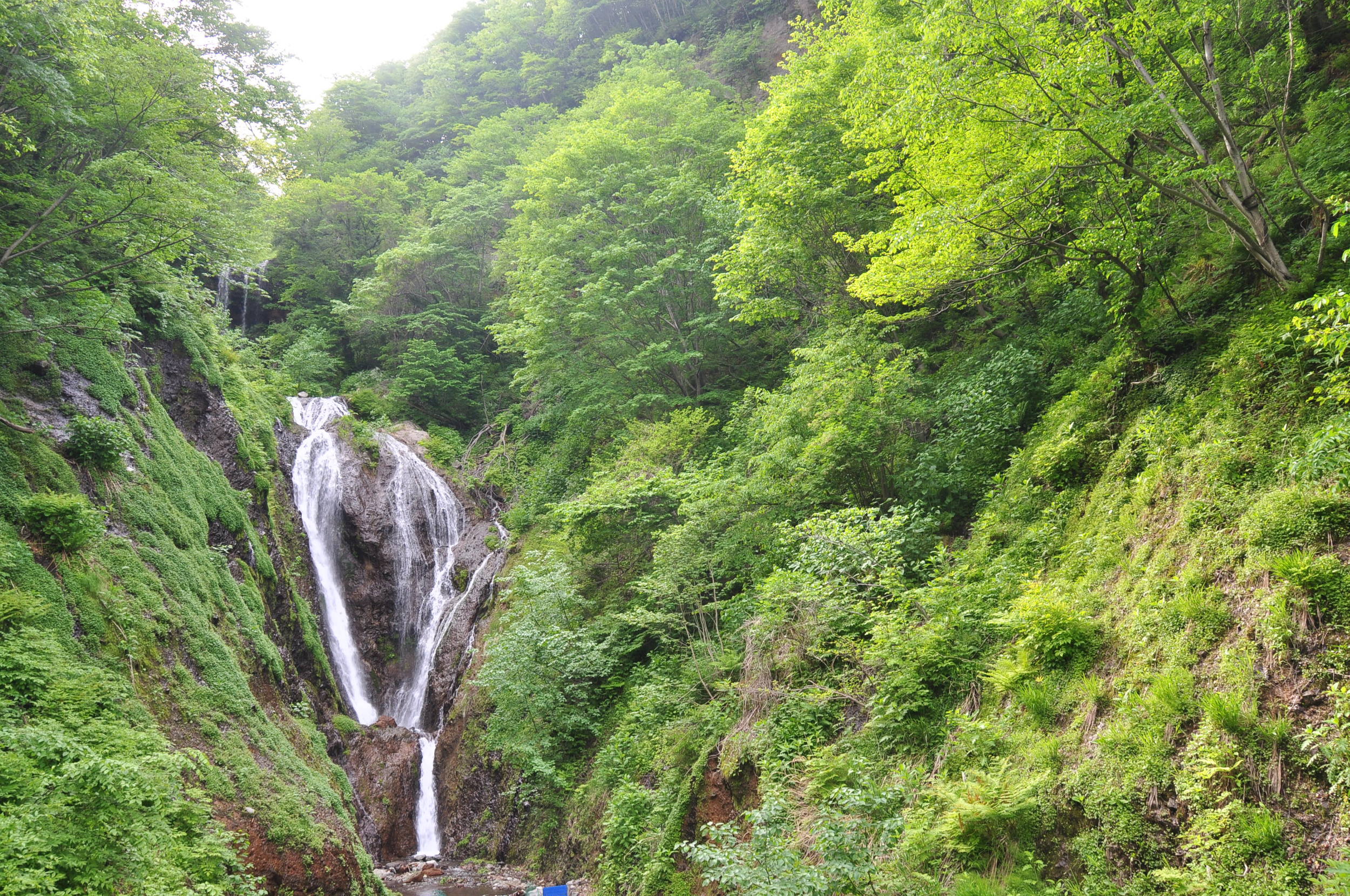 Ulleungdo Waterfall Korea
