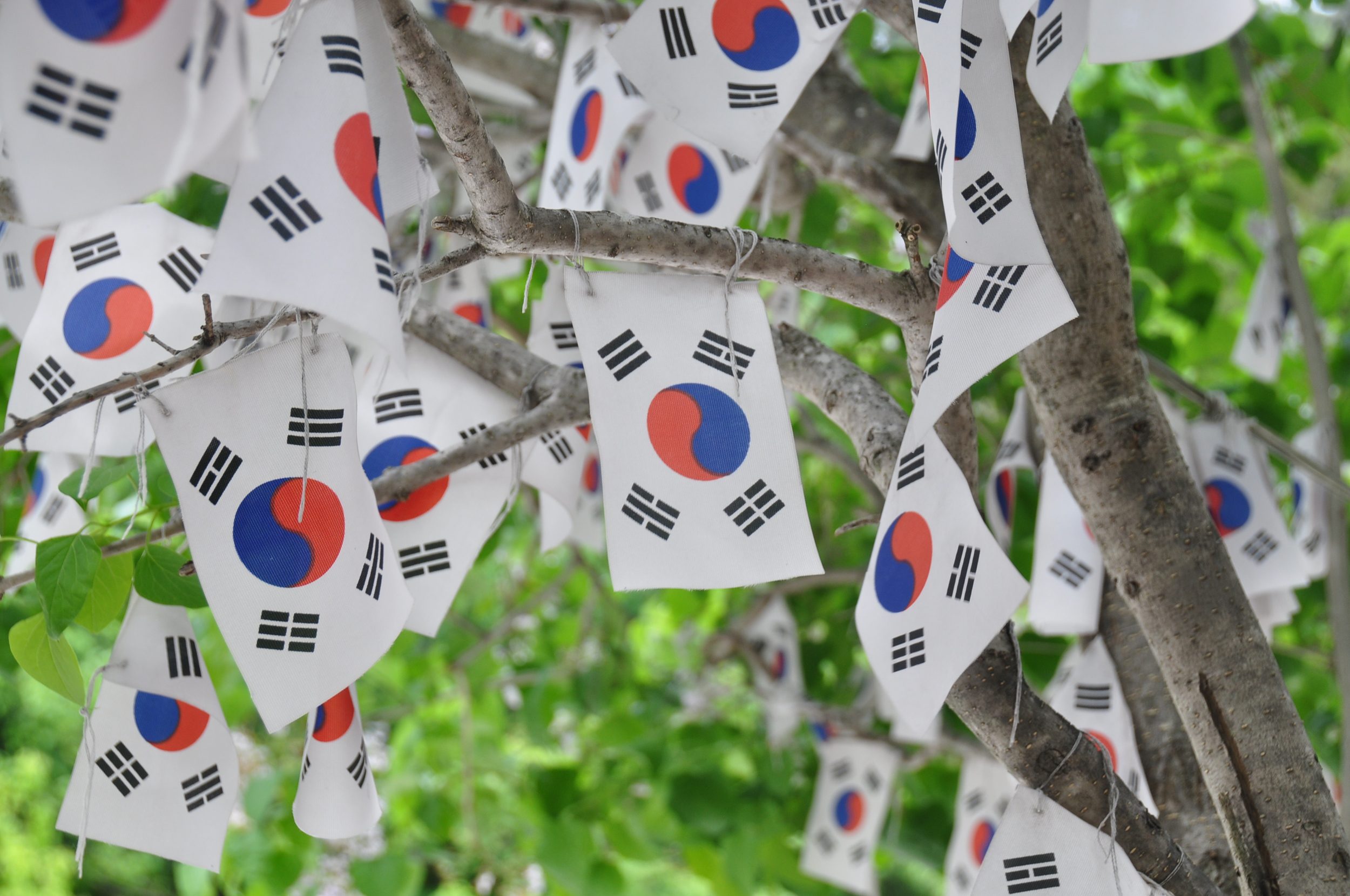 Ulleungdo hike Korean flags