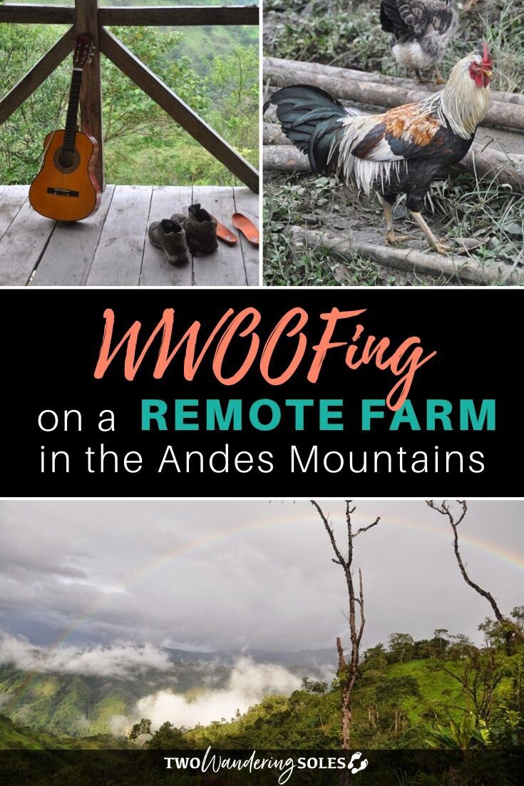 WOOFing in Ecuador