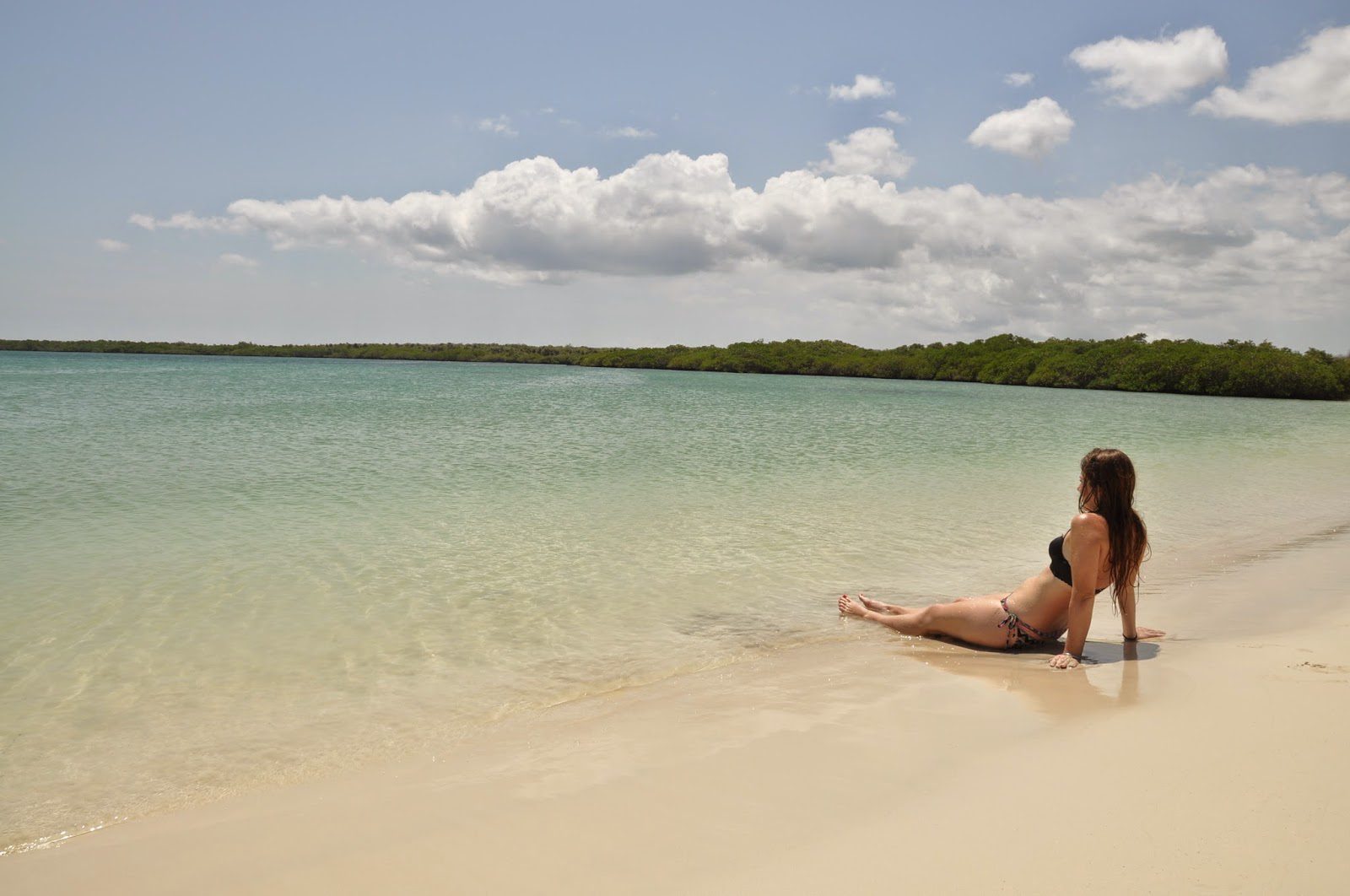 Tortuga Bay Galapagos Islands