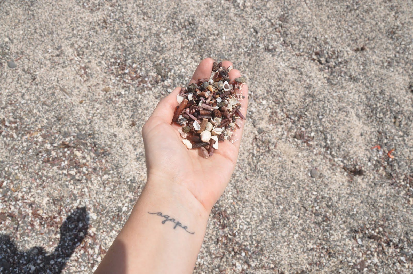 The sand on San Cristobal was made of broken shells and sea urchins