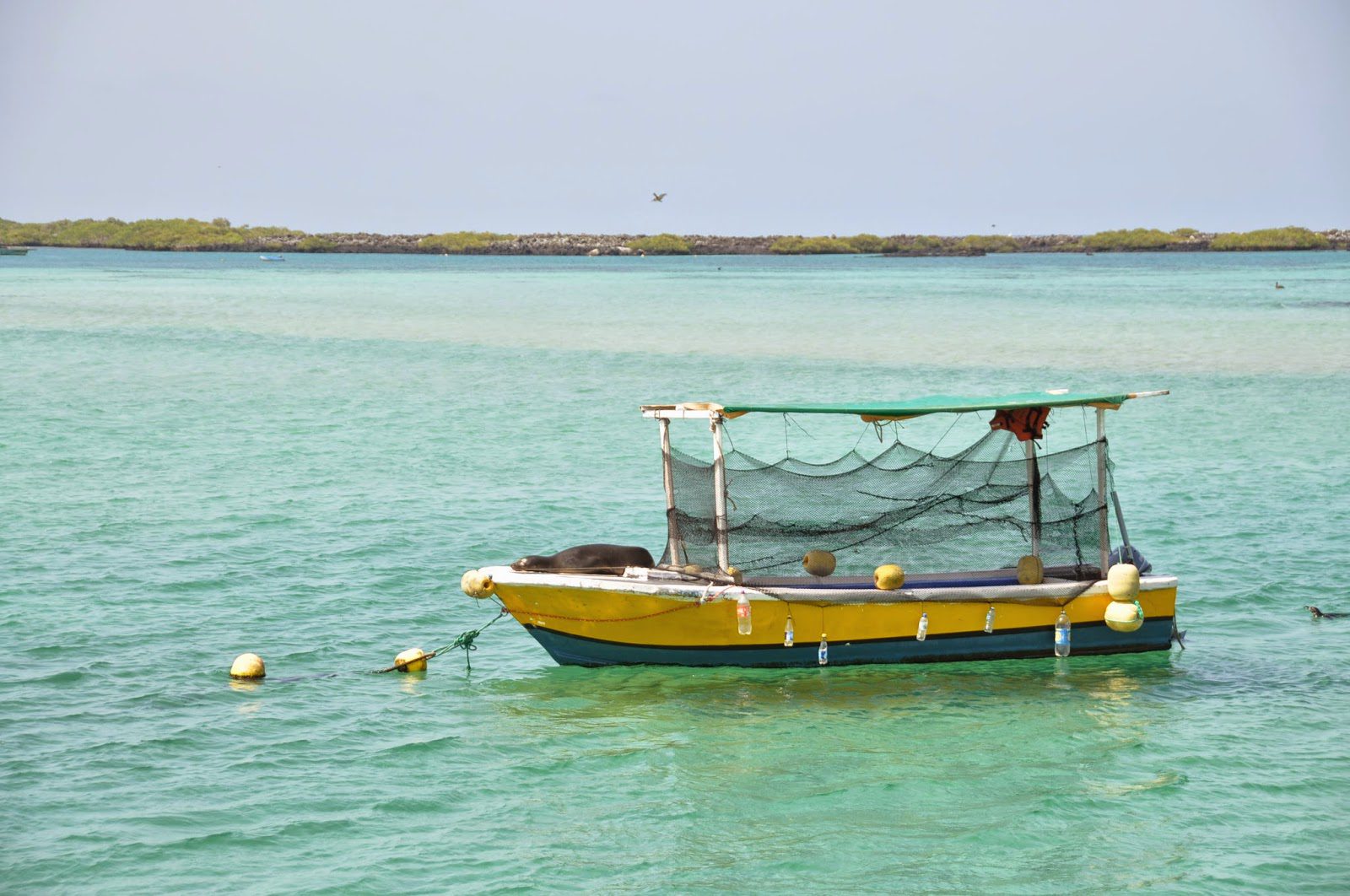 Boat Galapagos Islands