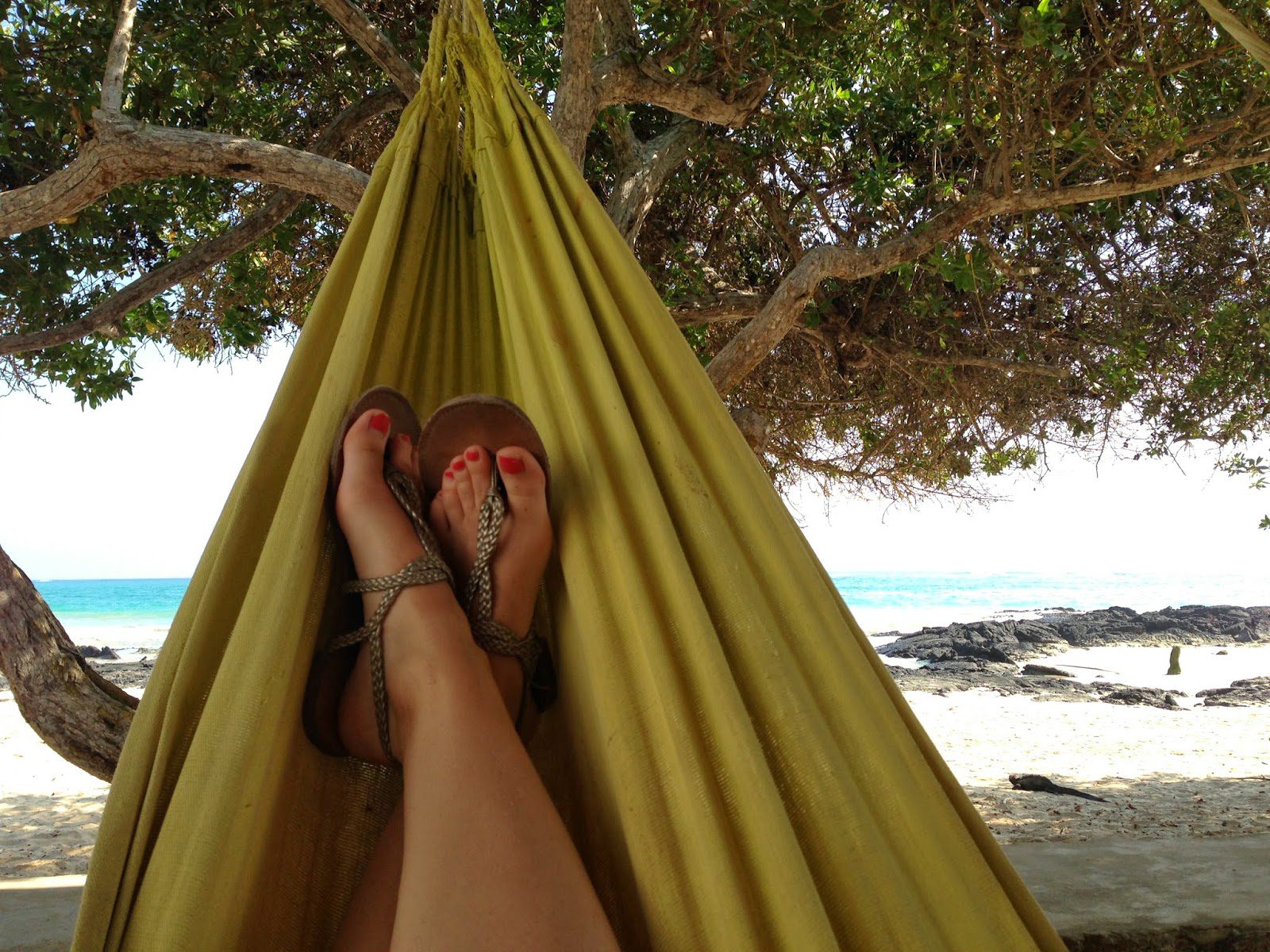 Hammocks never get old