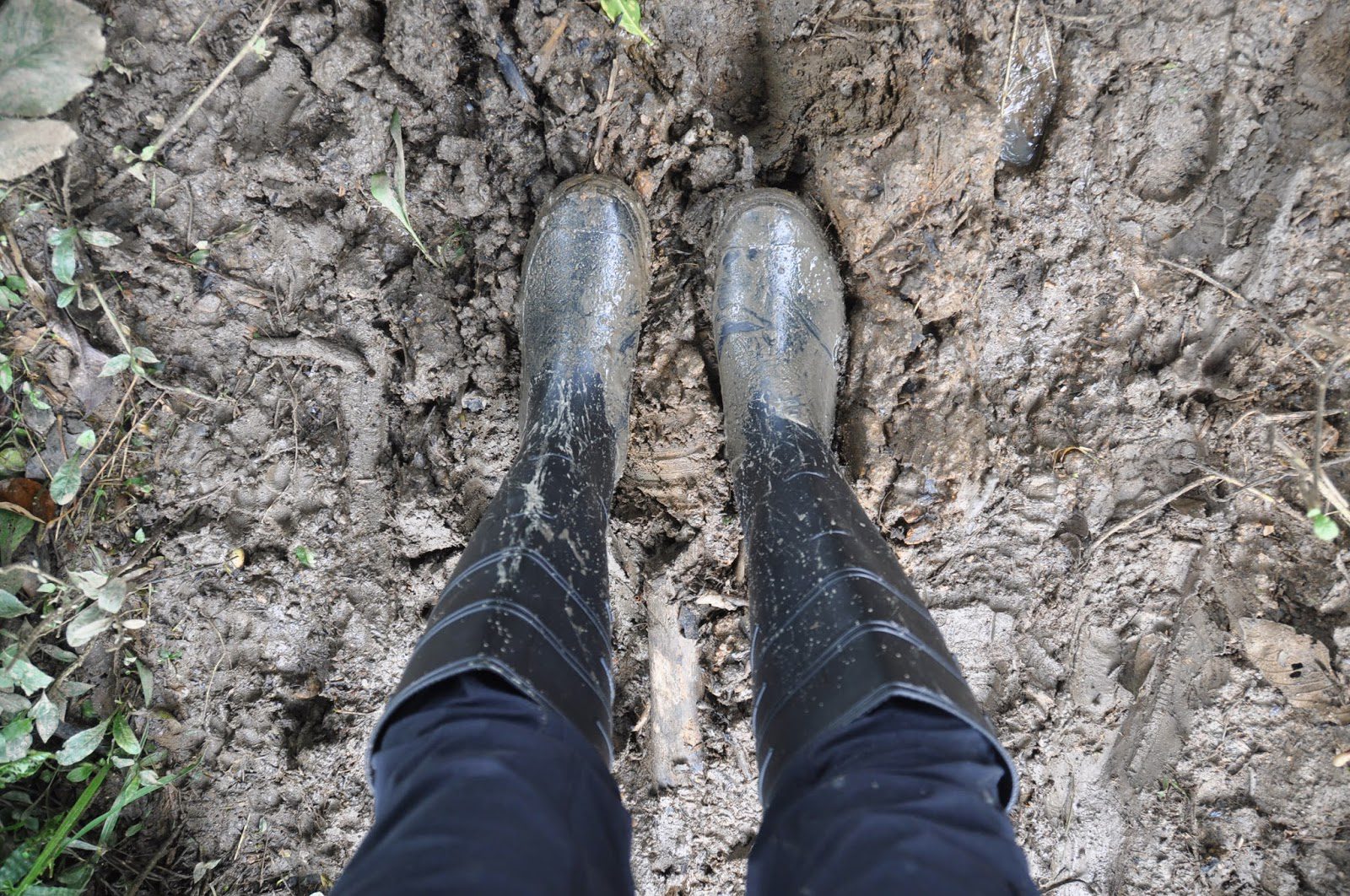 And this is why we were glad we bought rain boots...