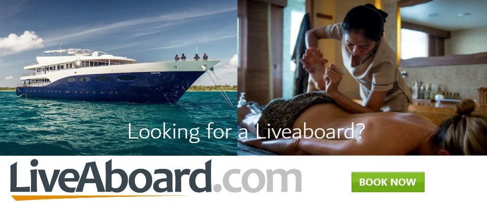 LiveAboard Banner