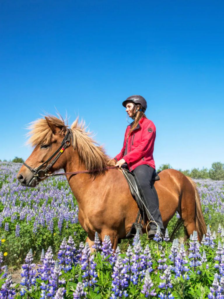 Iceland Airbnb Experience | Horseback Riding