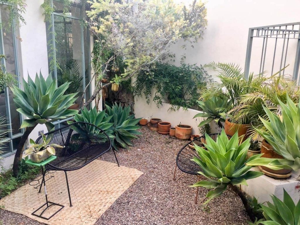 Airbnbs in Mexico | La Casa Boheme in San Miguel