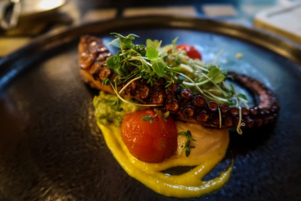 Icelandic Food | Octopus