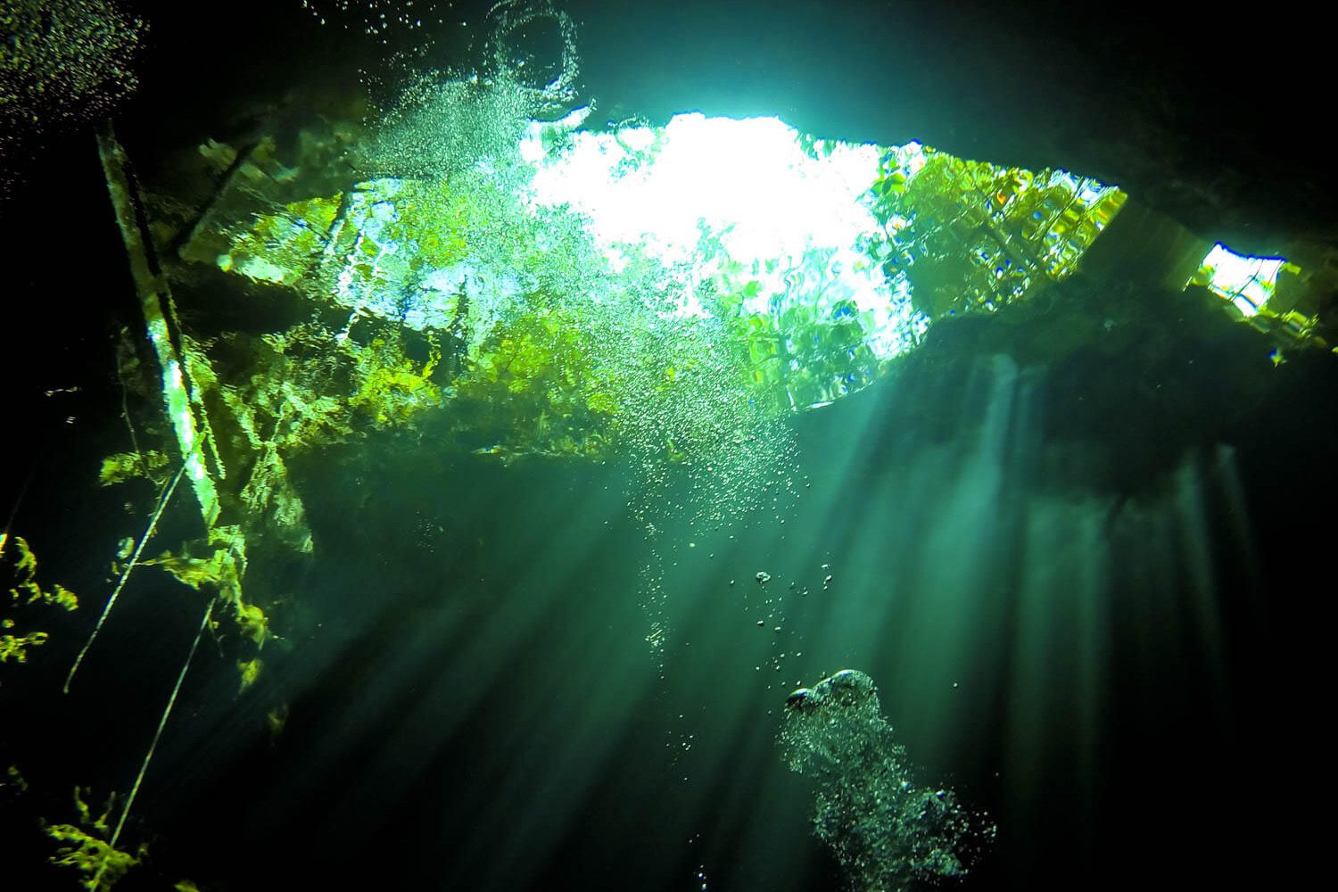 Diving Cenote El Pit