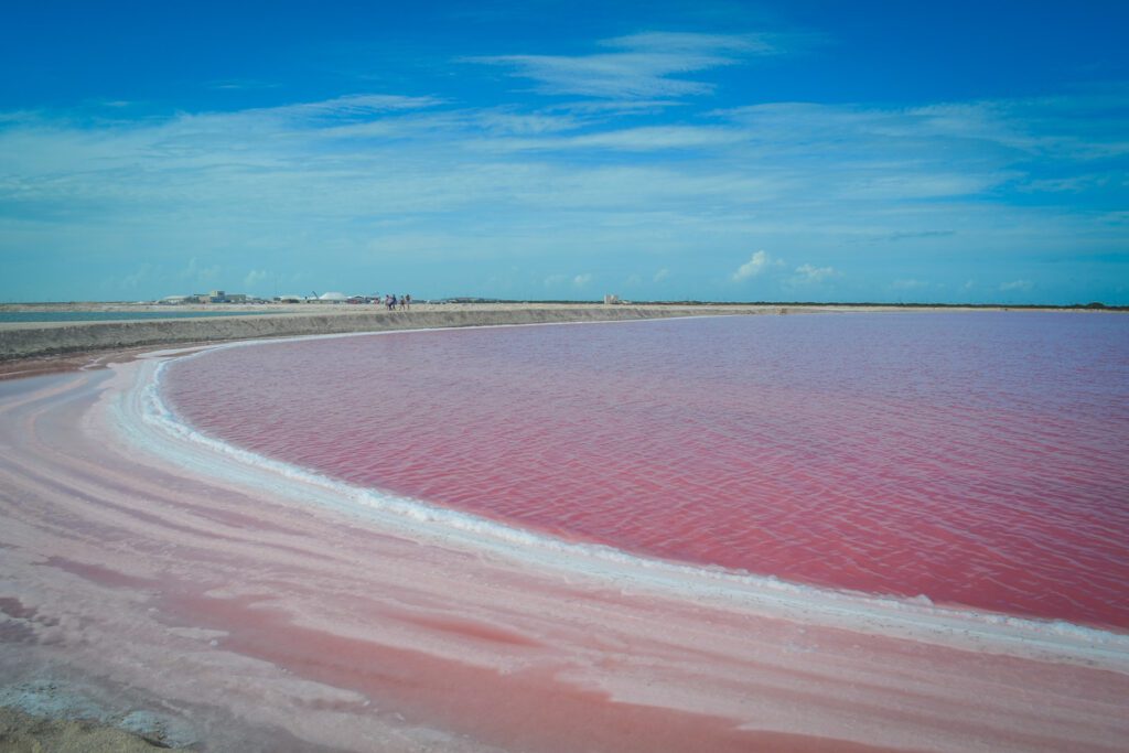 Las Coloradas Mexico_STOCK-U (Zyanya bmo)