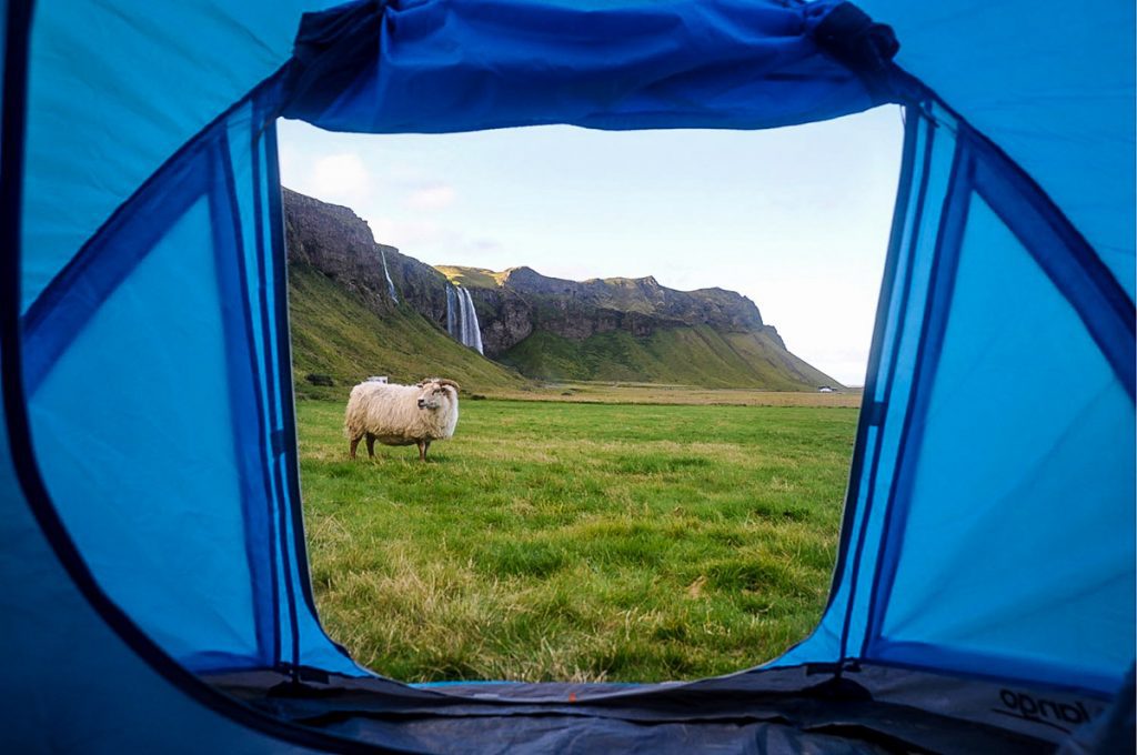 Iceland camping