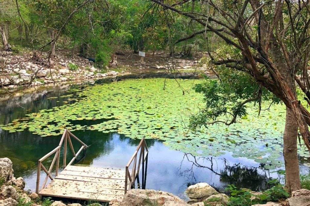 Cenote Xlacah