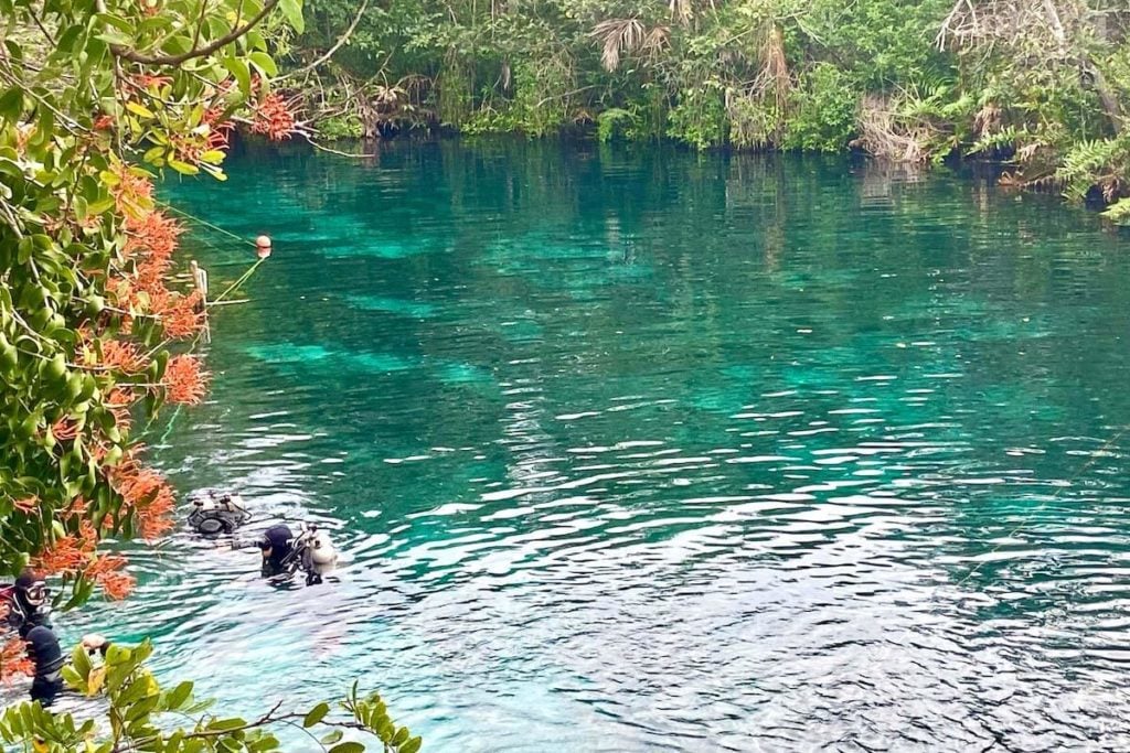 Cenote Car Wash