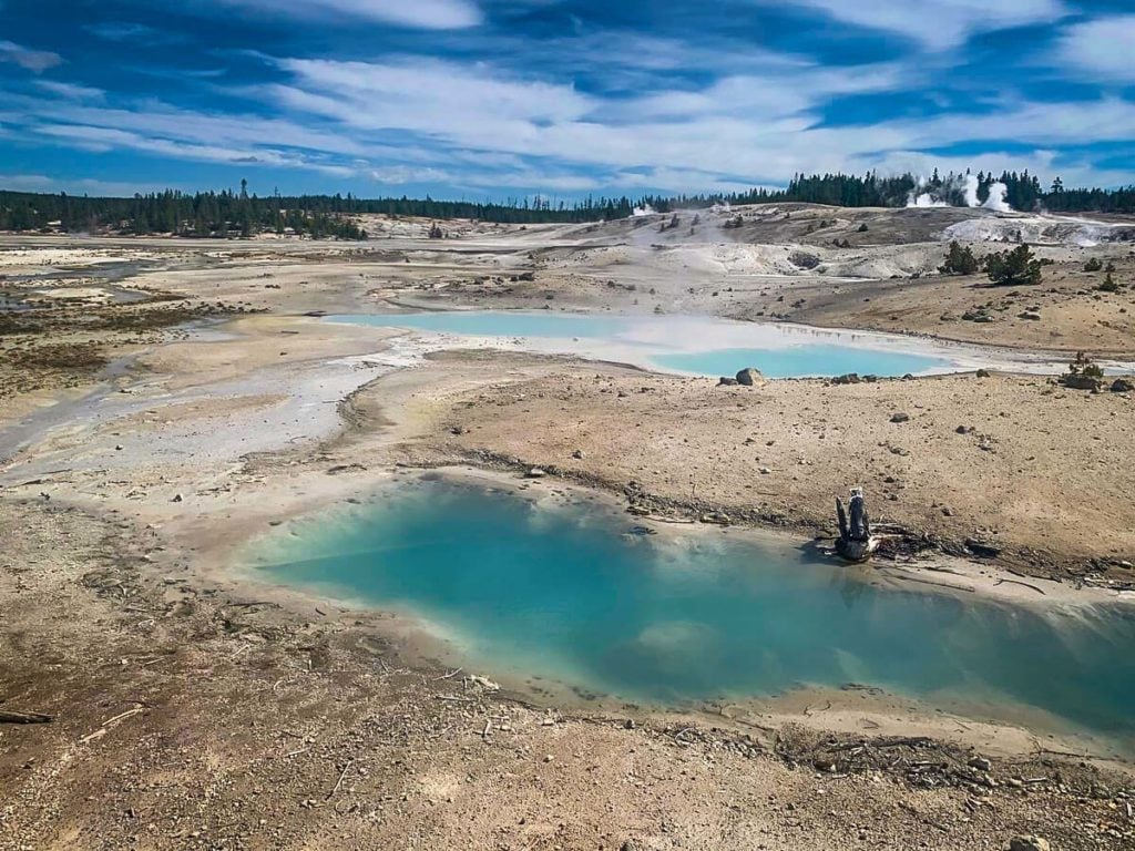 Norris Geyser Basin