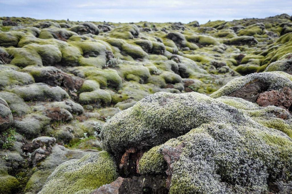 Eldhraun Lava Field