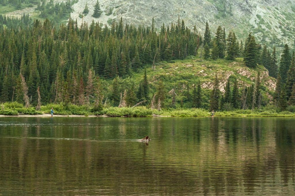 Fly fishing in Glacier National Park